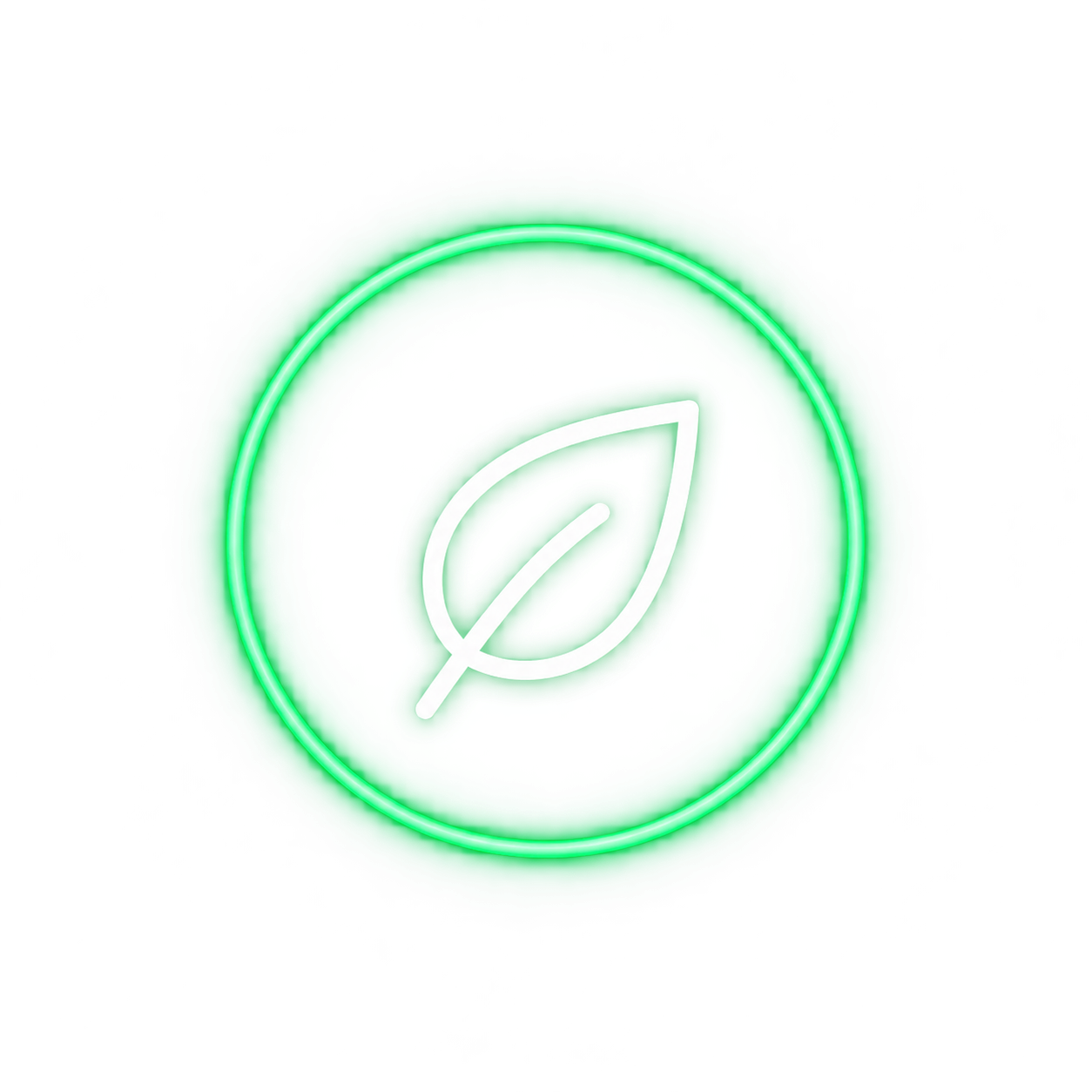 icon ev solutions 1